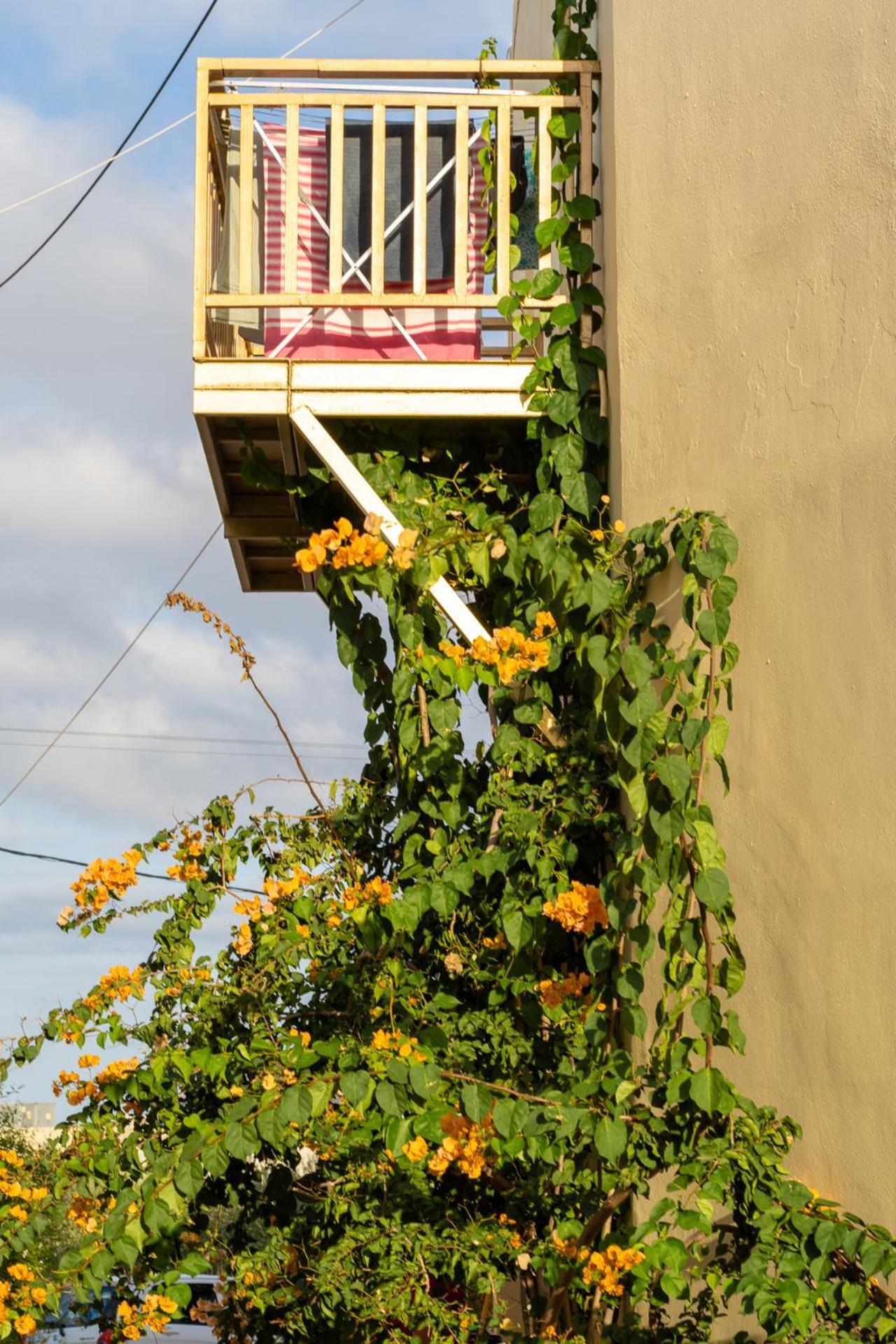 Elpis Studio Apartments Bali  Extérieur photo