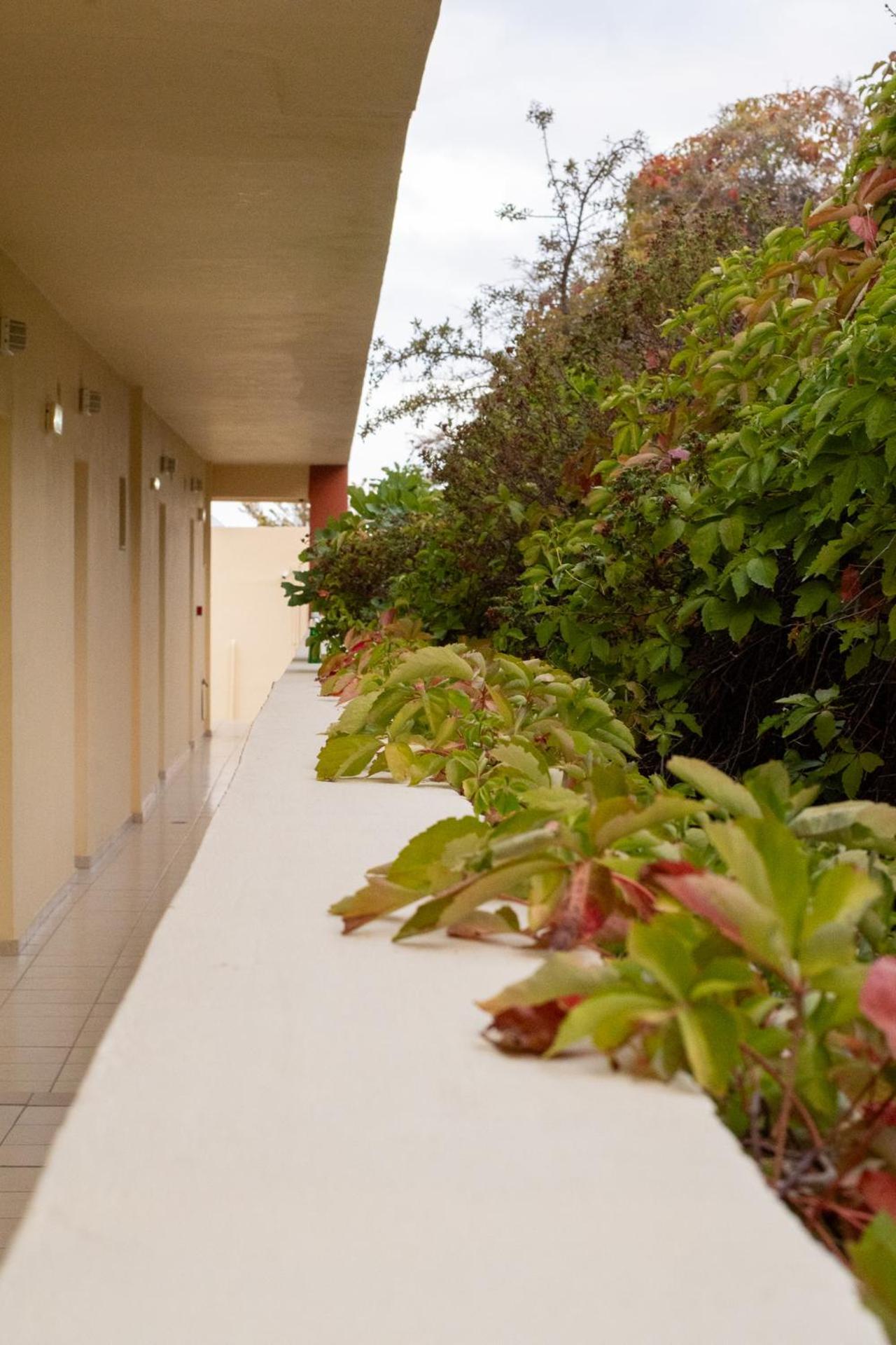 Elpis Studio Apartments Bali  Extérieur photo