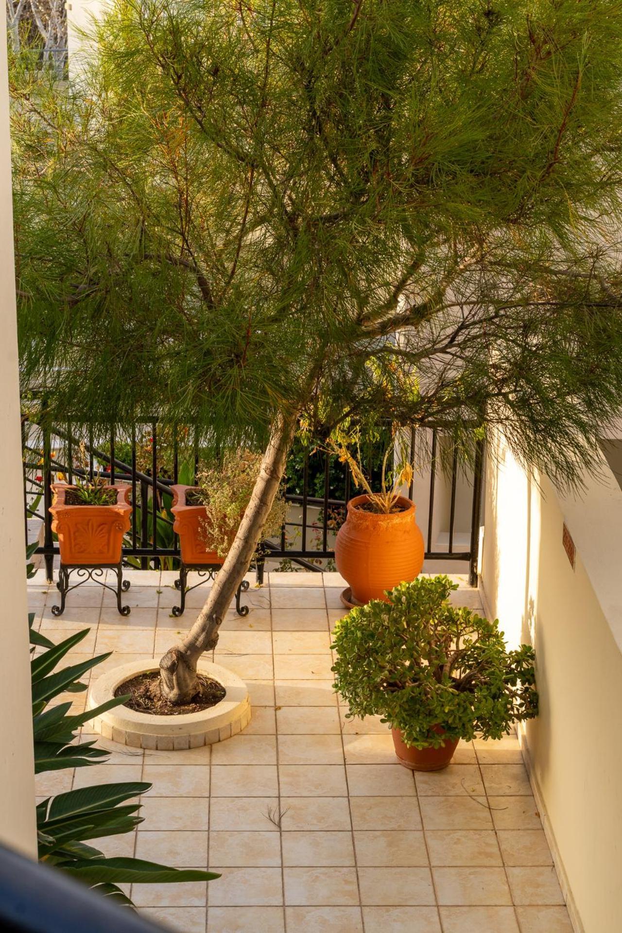 Elpis Studio Apartments Bali  Extérieur photo